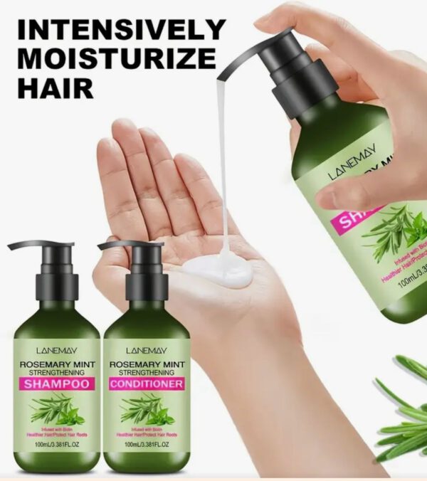 Rosemary Mint - Image 2
