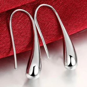 Silver Water Earrings